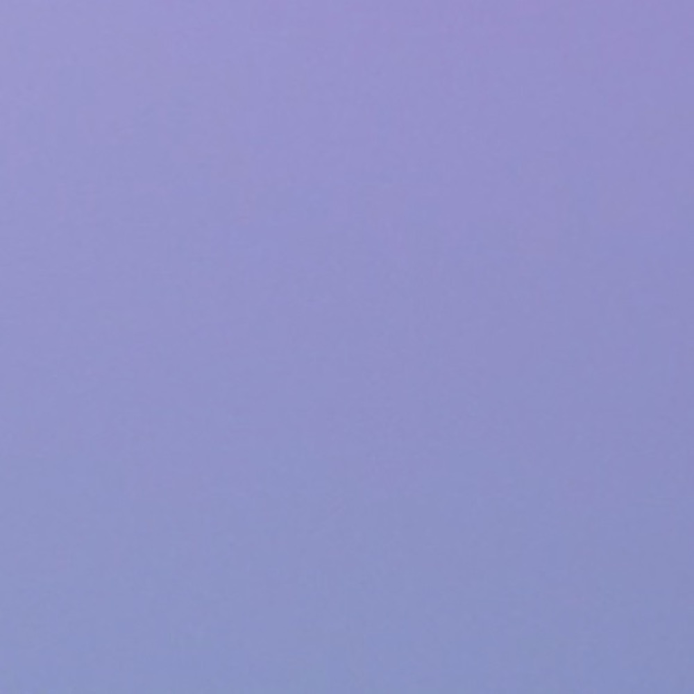 Meet your Posher, Payton